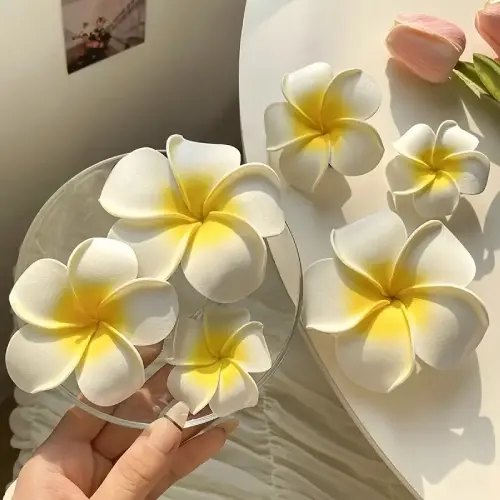 HAIR CLAWS